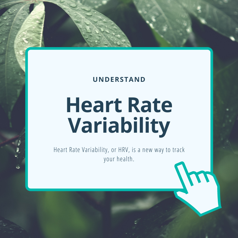 Understand: Heart Rate Variability