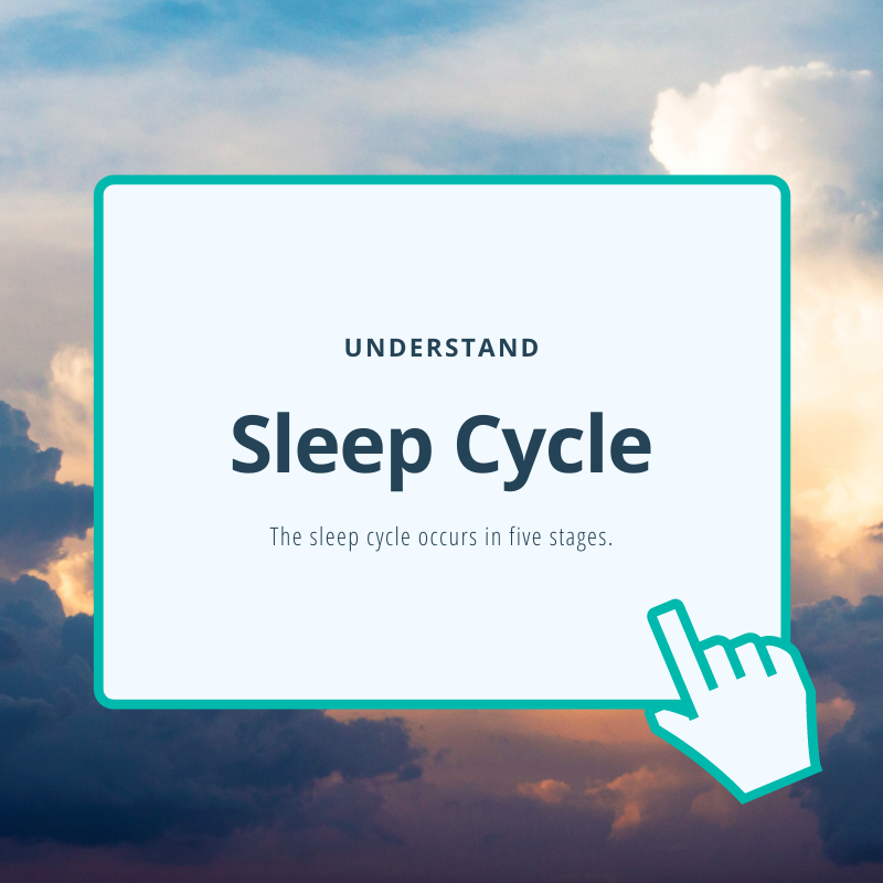 Understand: Sleep Cycle